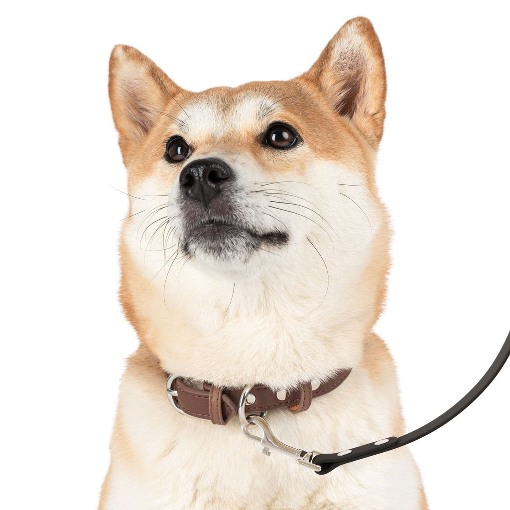 Stylish Leather Dog Leash - Durable & Elegant Pet Accessory - CieLava