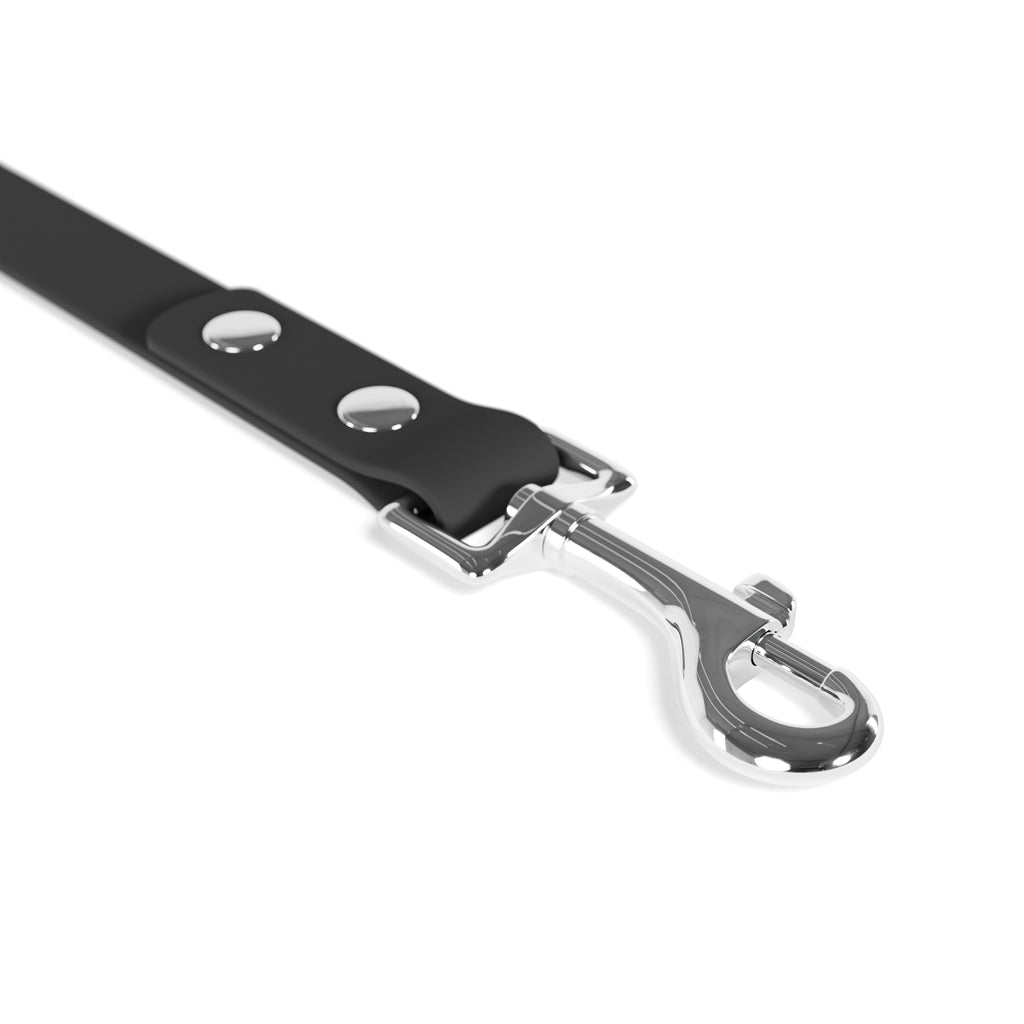 Stylish Leather Dog Leash - Durable & Elegant Pet Accessory - CieLava